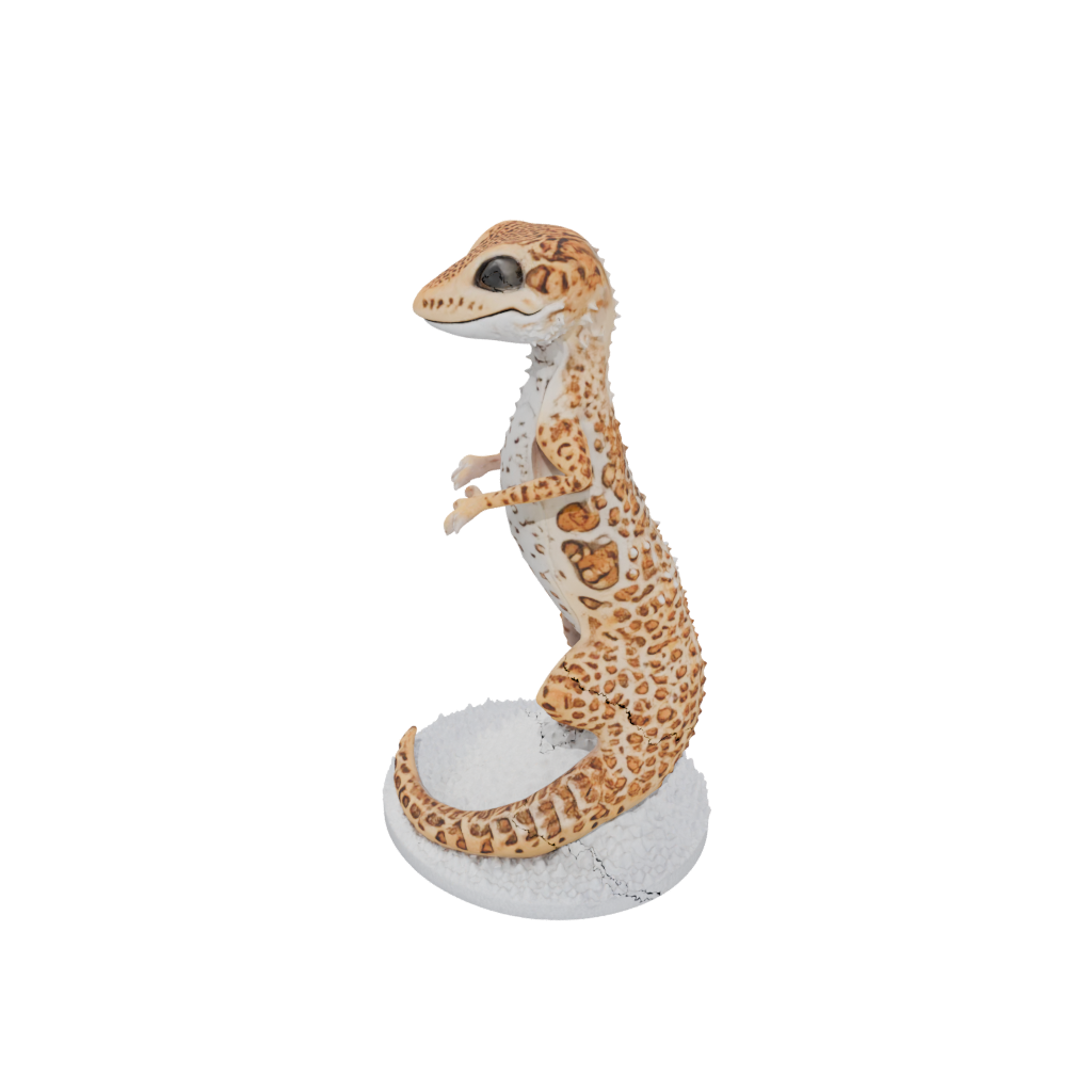 Holiday Flexi Leopard Gecko