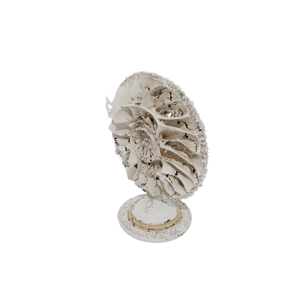 Holiday Flexi Nautilus