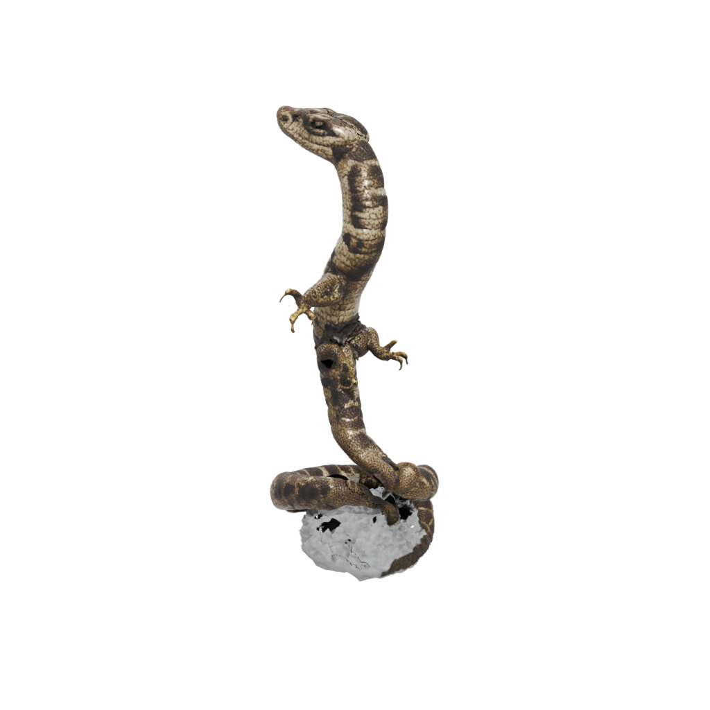Holiday Flexi Rattlesnake