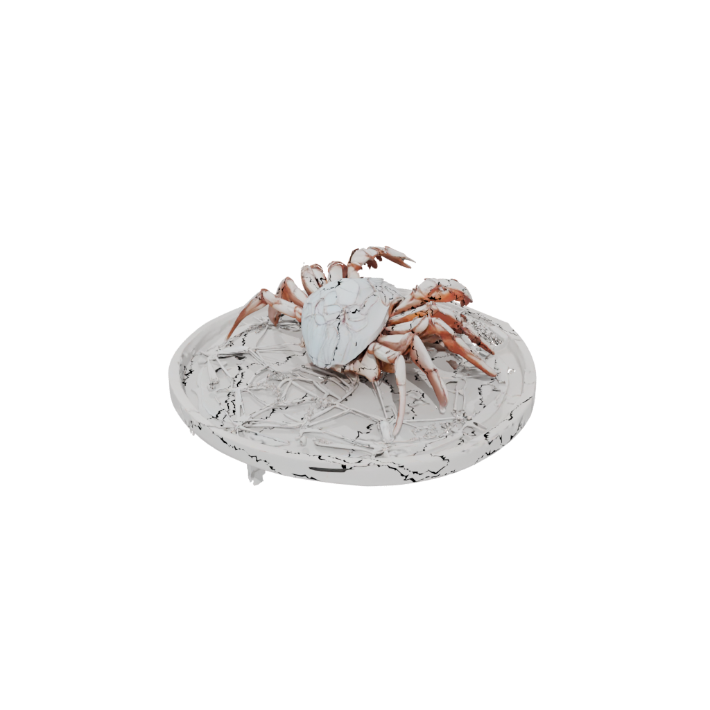 Holiday Geo Flexi Hermit Crab