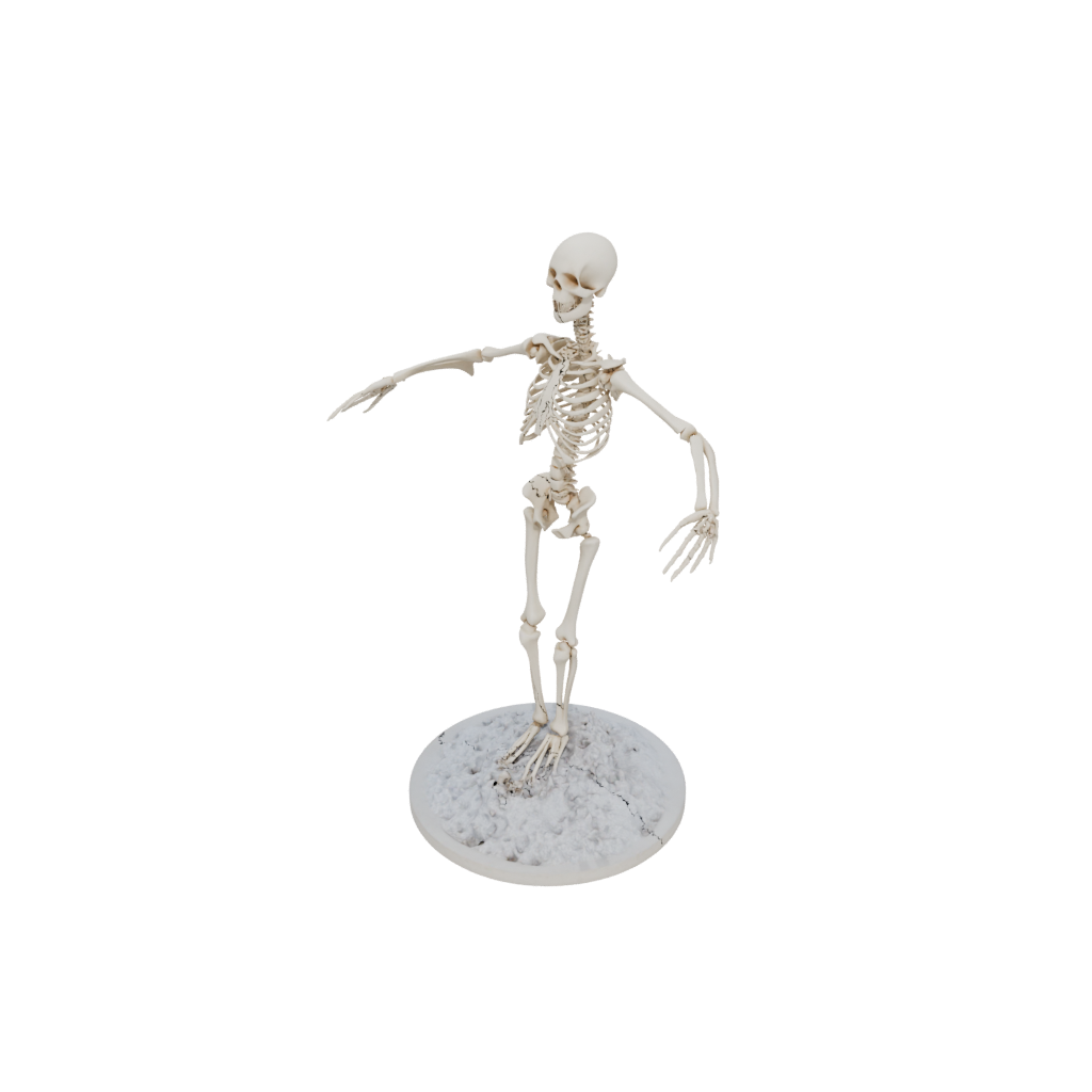 Holiday Skeleton Flexi Stingray