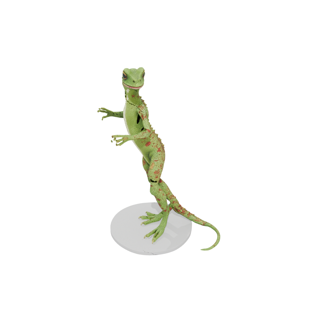 Jumbo Flexi Gecko