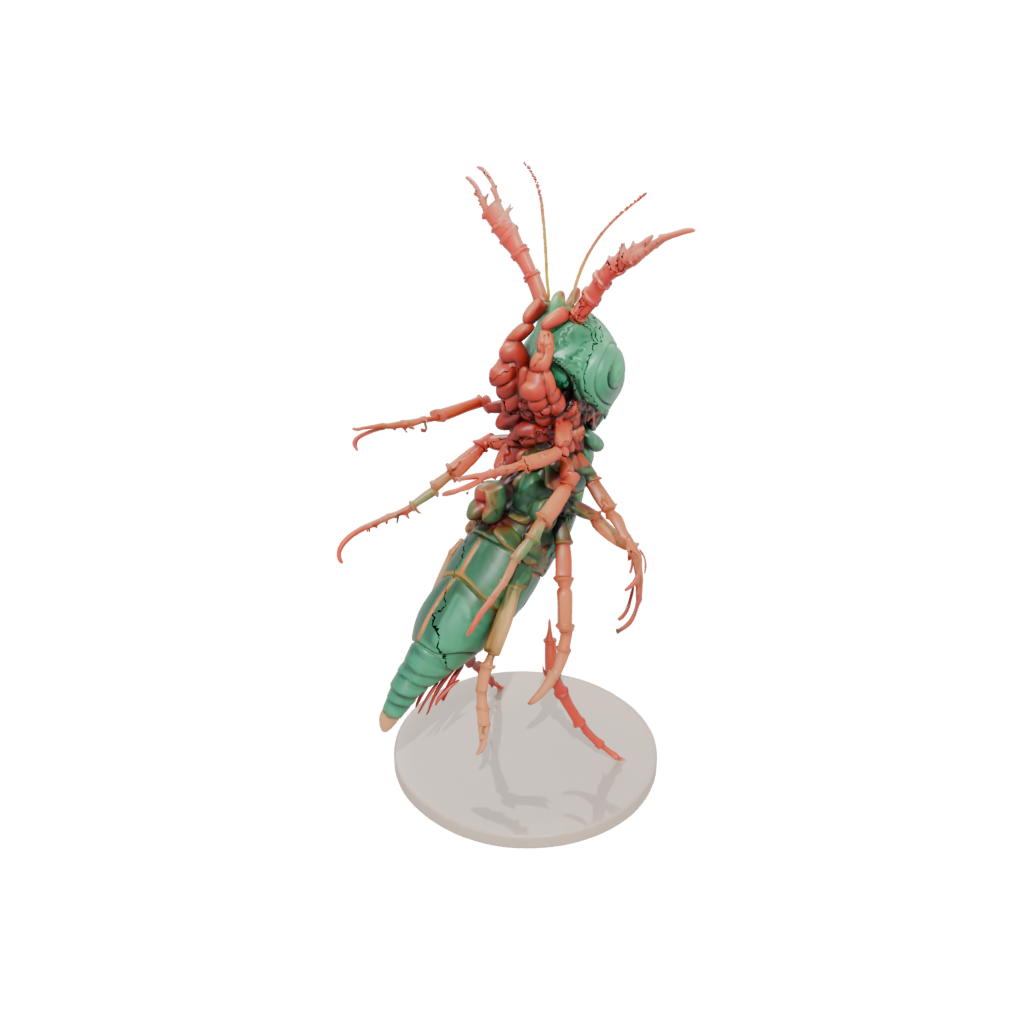 Jumbo Flexi Mantis Shrimp