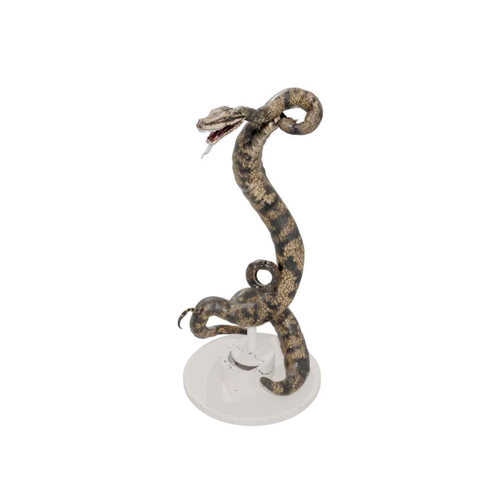 Jumbo Flexi Rattlesnake