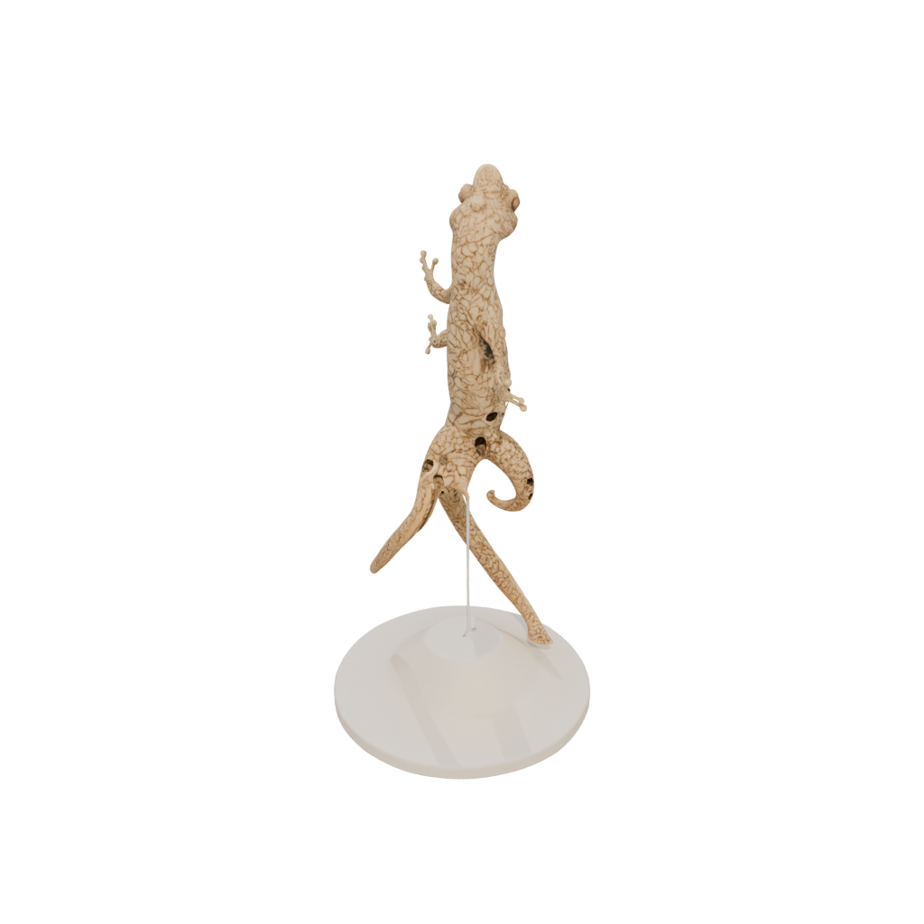 Jumbo Geo Flexi Gecko