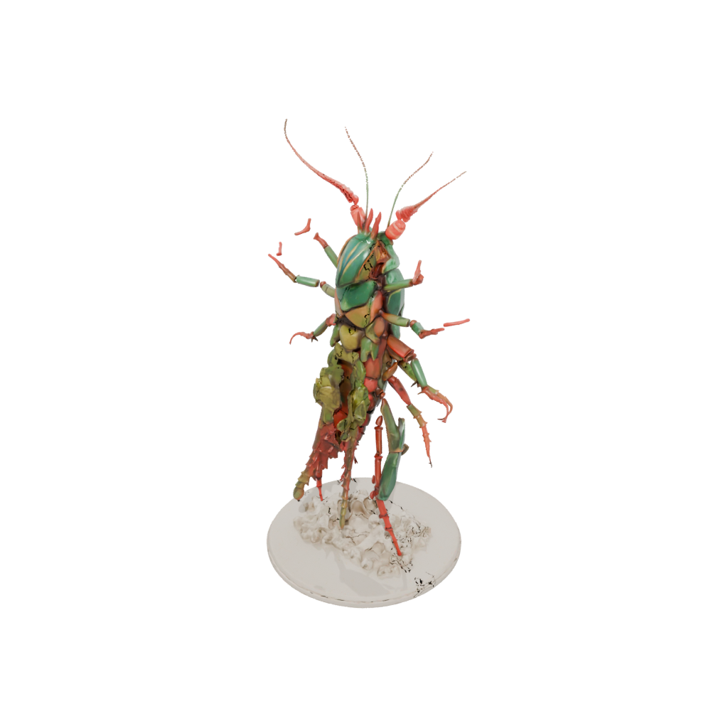 Jumbo Geo Flexi Mantis Shrimp