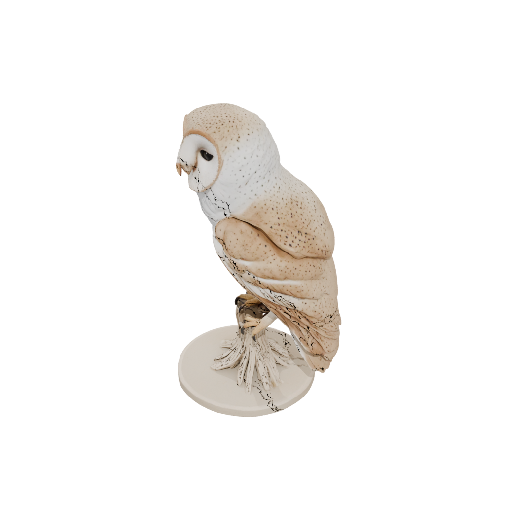 Jumbo Realistic Flexi Barn Owl
