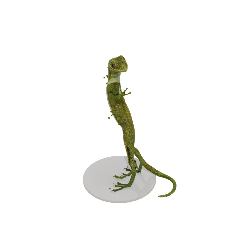Jumbo Realistic Flexi Gecko