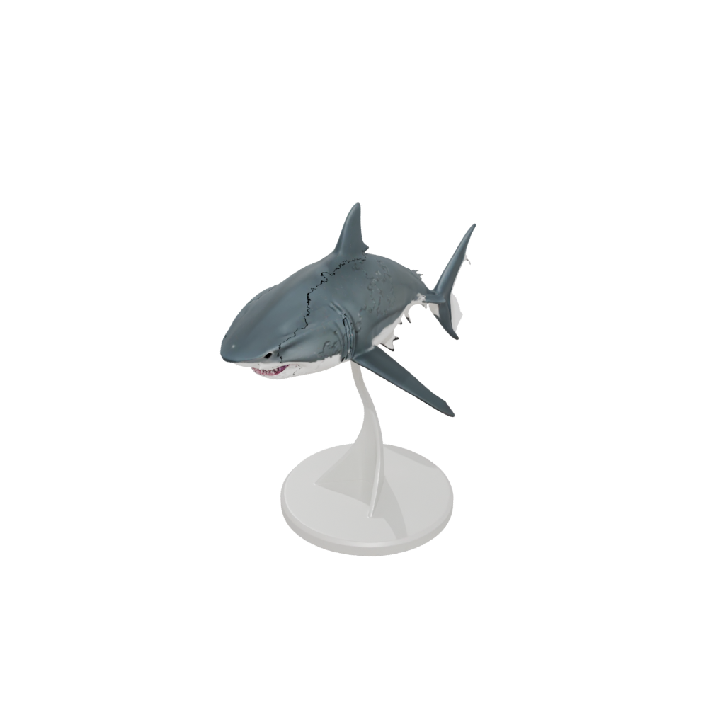 Jumbo Realistic Flexi Great White Shark