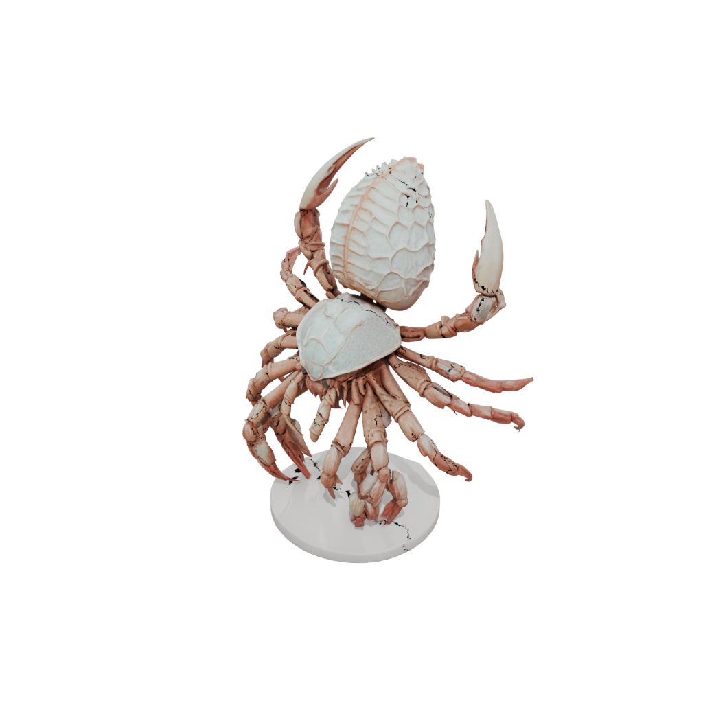 Jumbo Realistic Flexi Hermit Crab