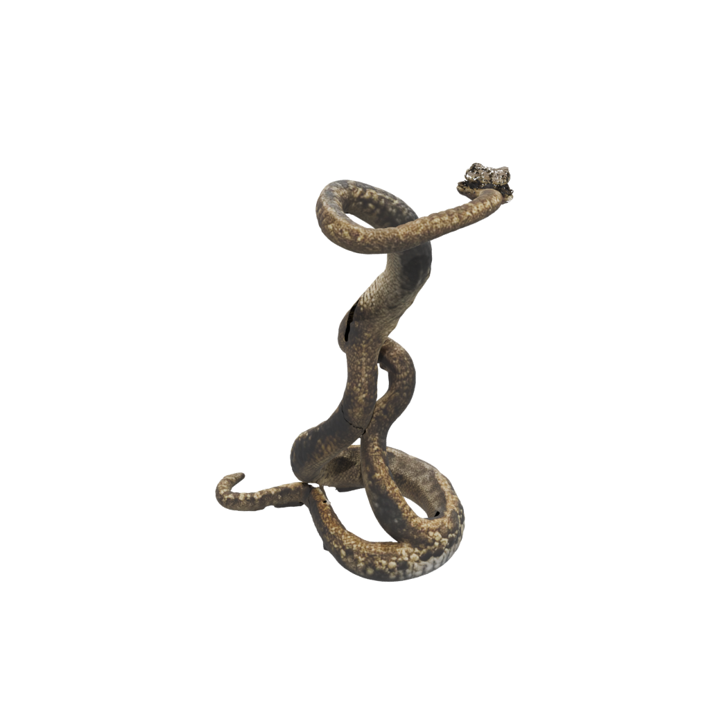 Jumbo Realistic Flexi Rattlesnake