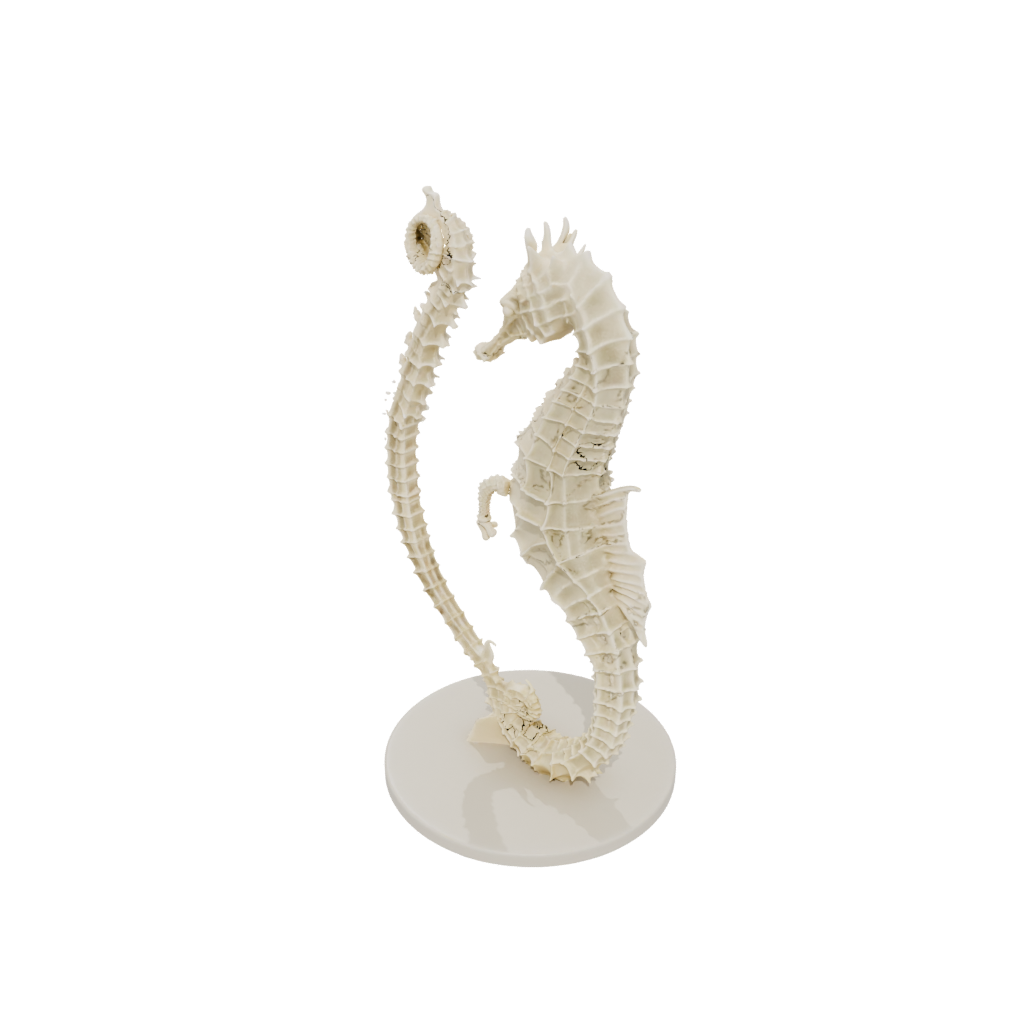Jumbo Realistic Flexi Seahorse