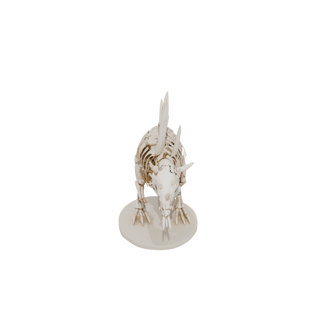 Jumbo Skeleton Flexi Armadillo