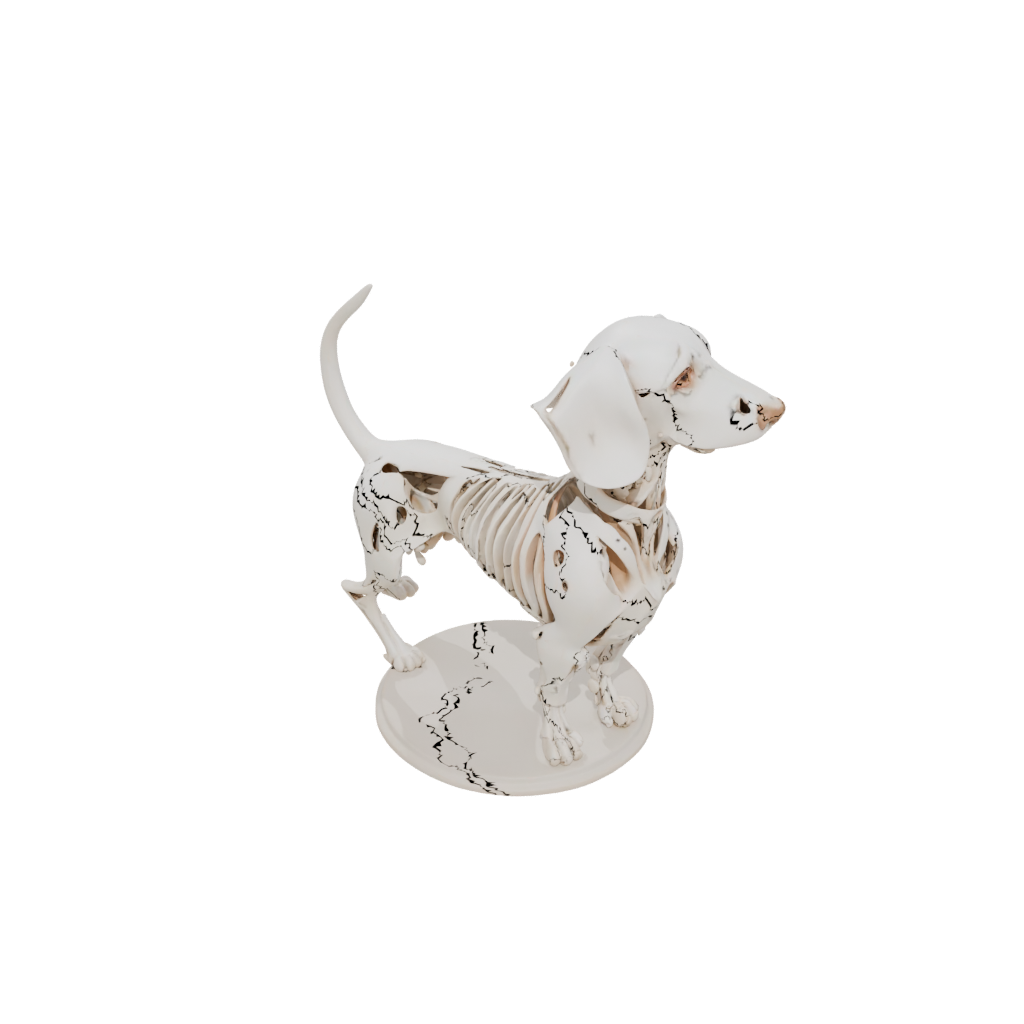 Jumbo Skeleton Flexi Dachshund Dog