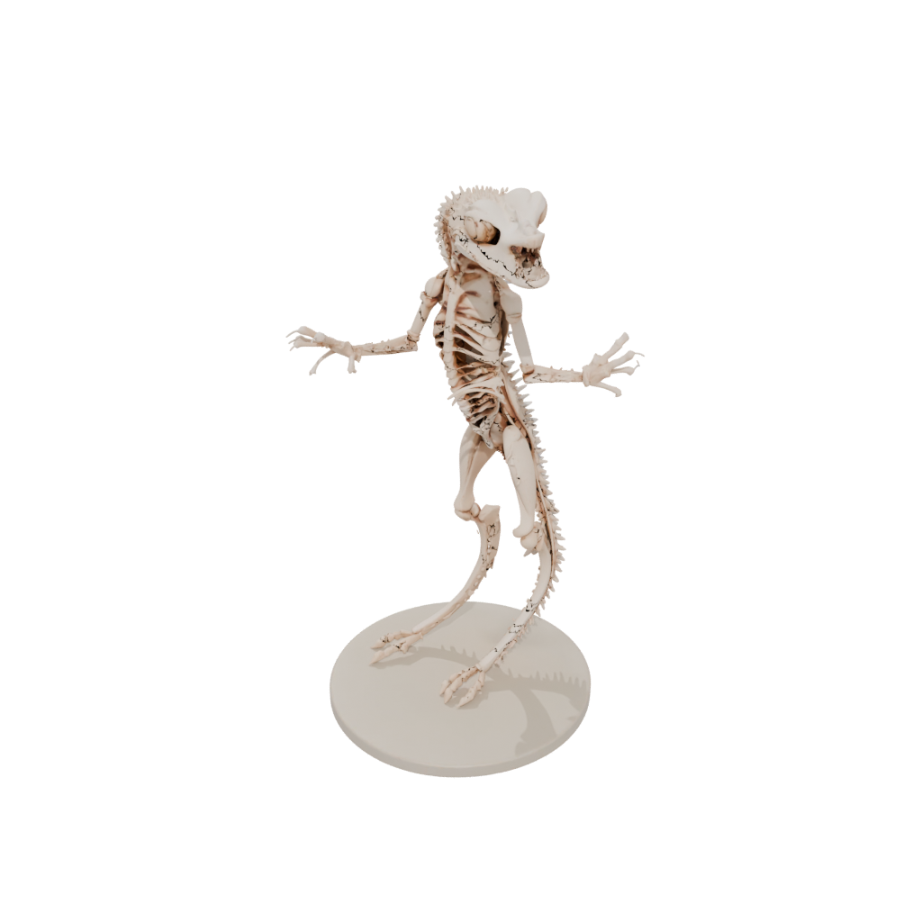 Jumbo Skeleton Flexi Gecko