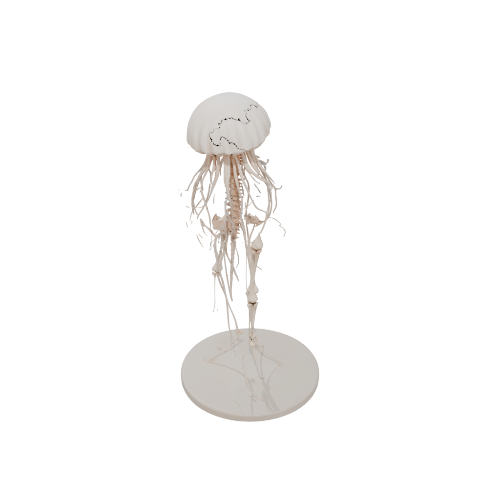 Jumbo Skeleton Flexi Jellyfish
