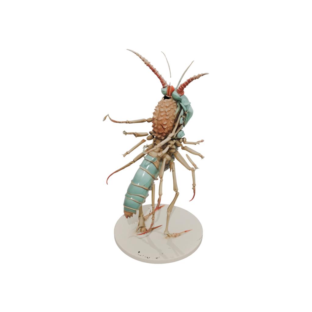 Jumbo Skeleton Flexi Mantis Shrimp