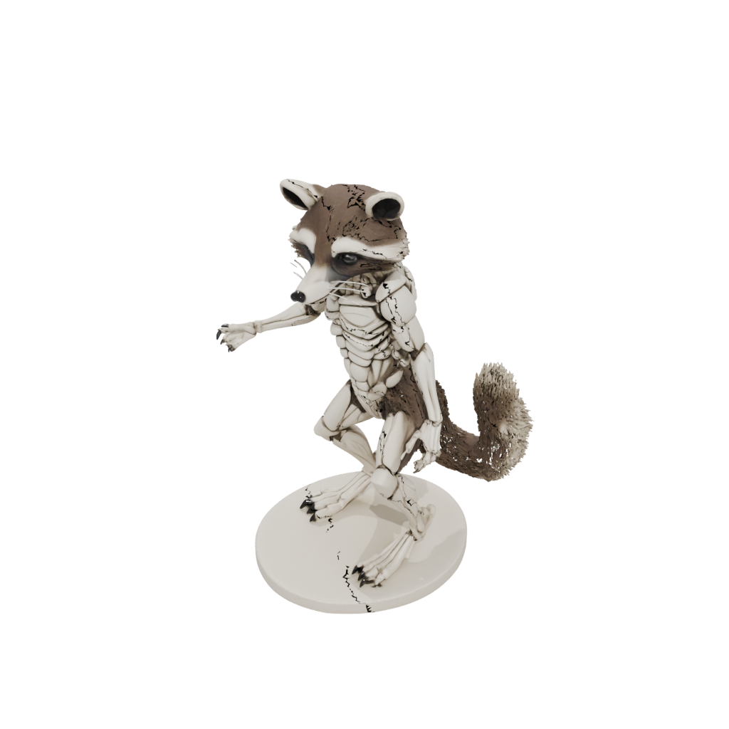Jumbo Skeleton Flexi Raccoon