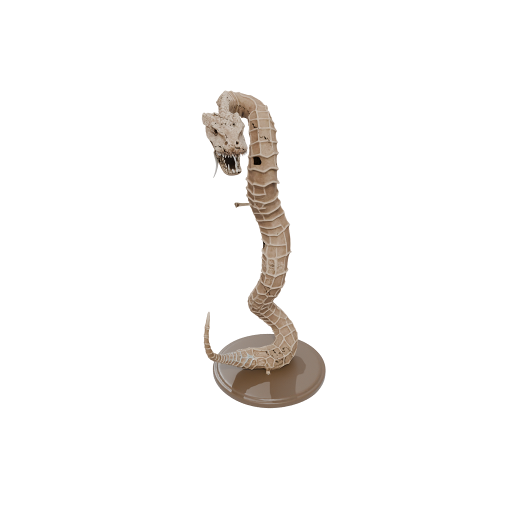 Jumbo Skeleton Flexi Rattlesnake