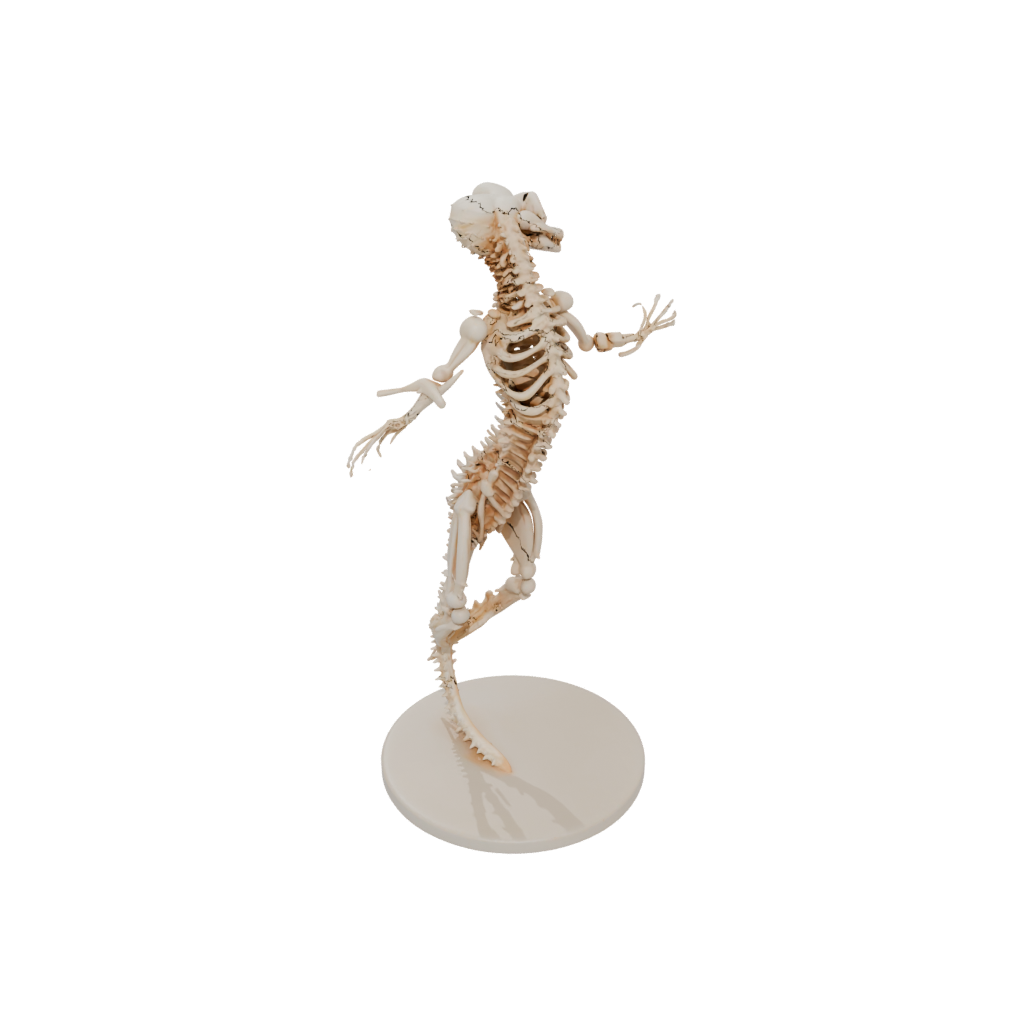 Jumbo Skeleton Flexi Salamander