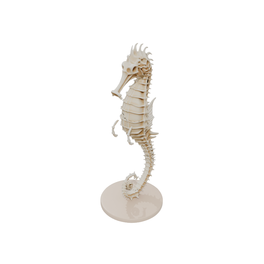 Jumbo Skeleton Flexi Seahorse
