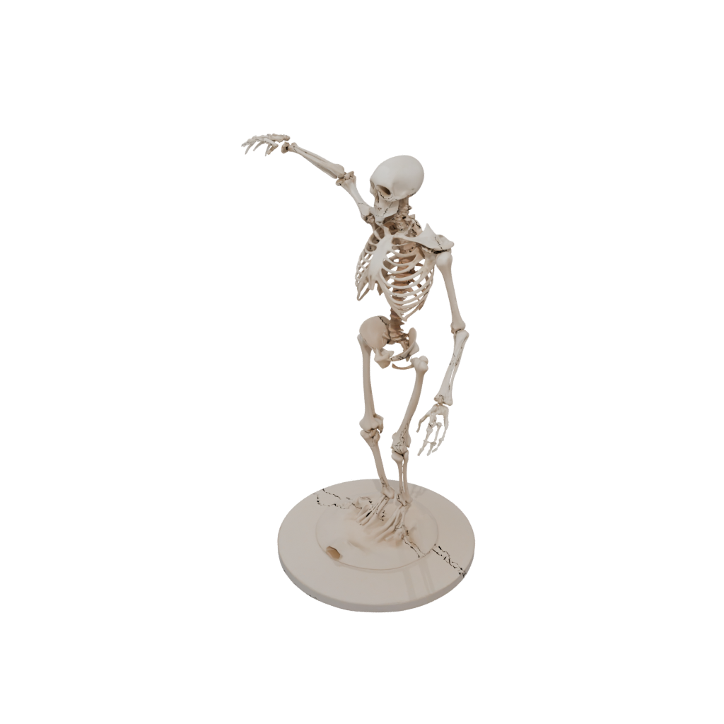 Jumbo Skeleton Flexi Stingray