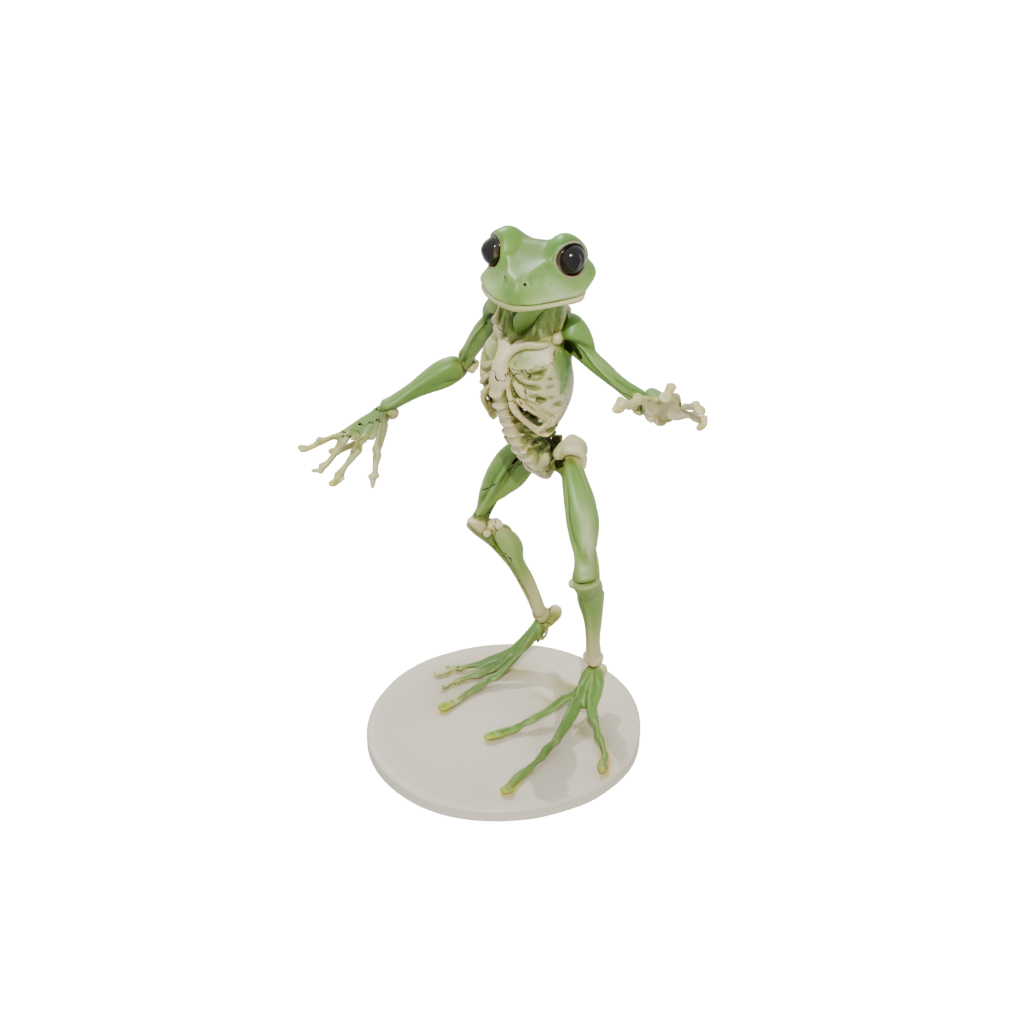 Jumbo Skeleton Flexi Tree Frog