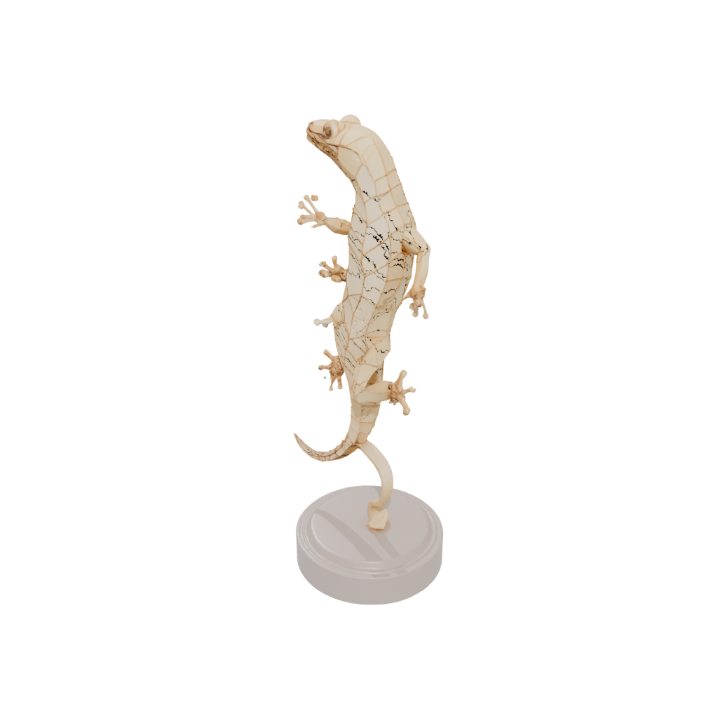 Low-Poly Geo Flexi Salamander