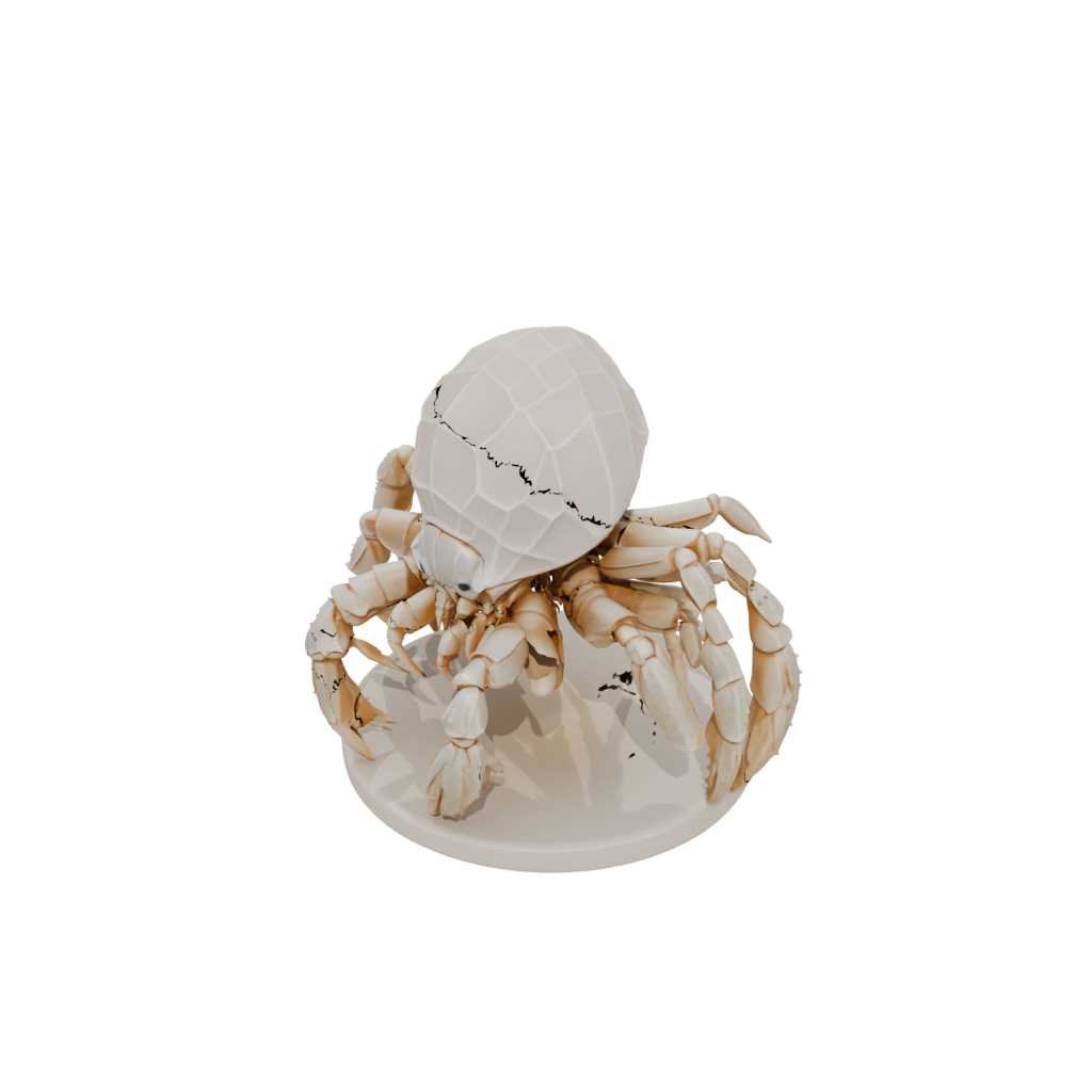 Low-Poly Realistic Flexi Hermit Crab