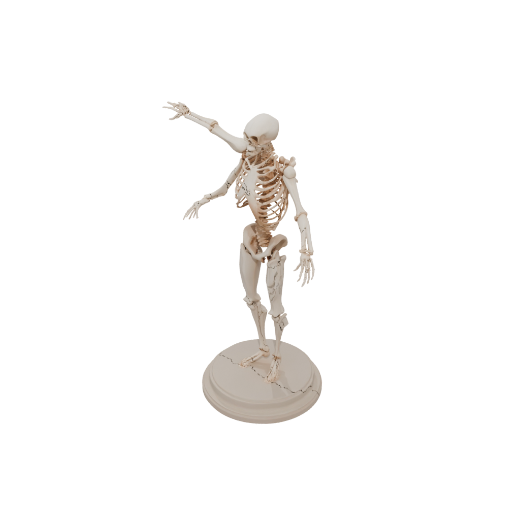 Low-Poly Skeleton Flexi Stingray