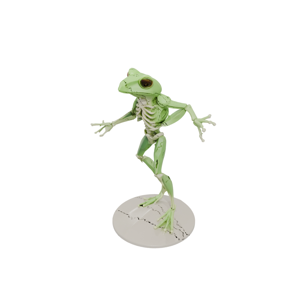 Low-Poly Skeleton Flexi Tree Frog