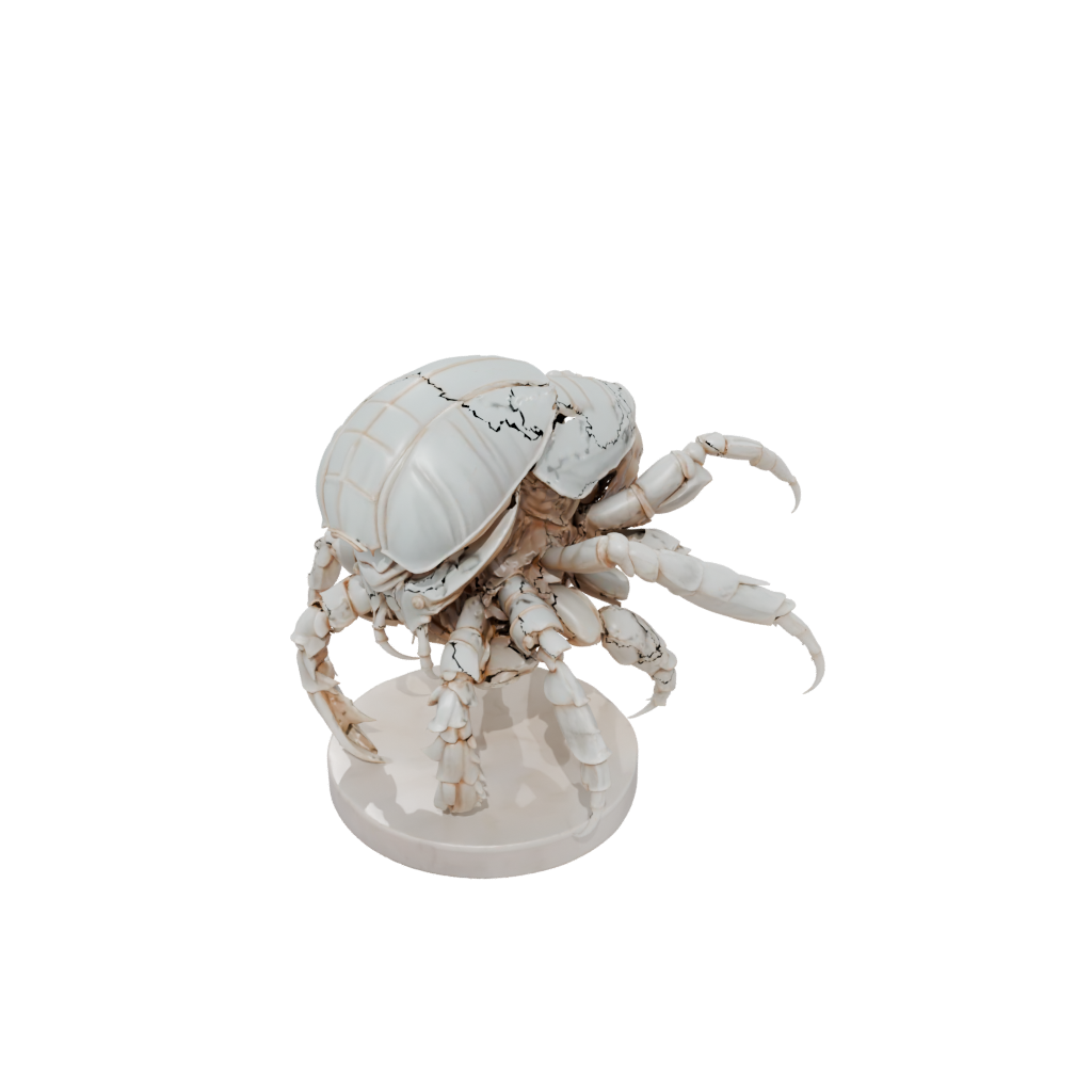 Marble Armored Flexi Hermit Crab