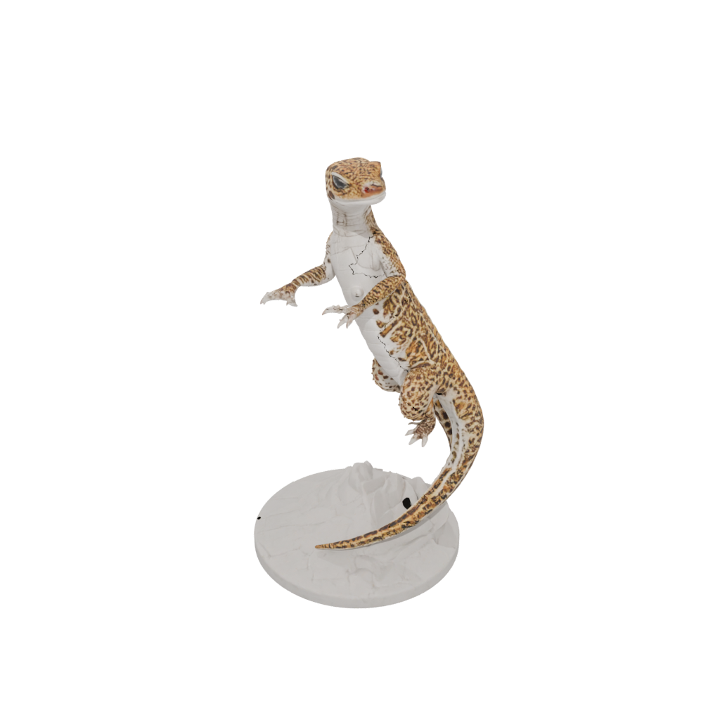 Marble Armored Flexi Leopard Gecko