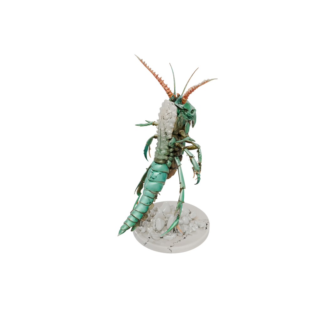 Marble Armored Flexi Mantis Shrimp