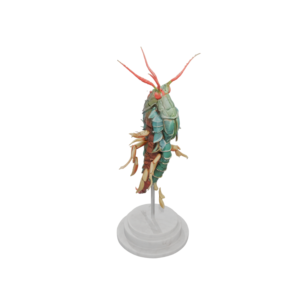 Marble Flexi Mantis Shrimp