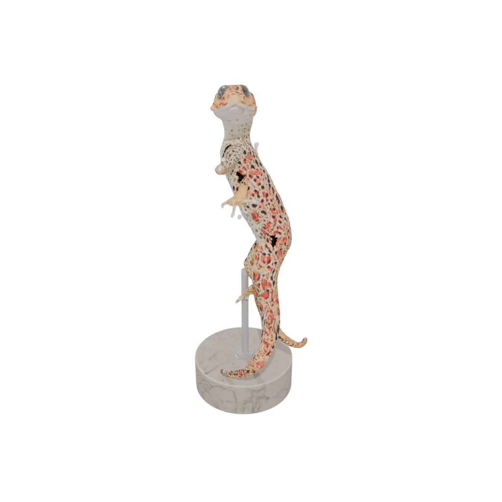 Marble Floral Flexi Leopard Gecko