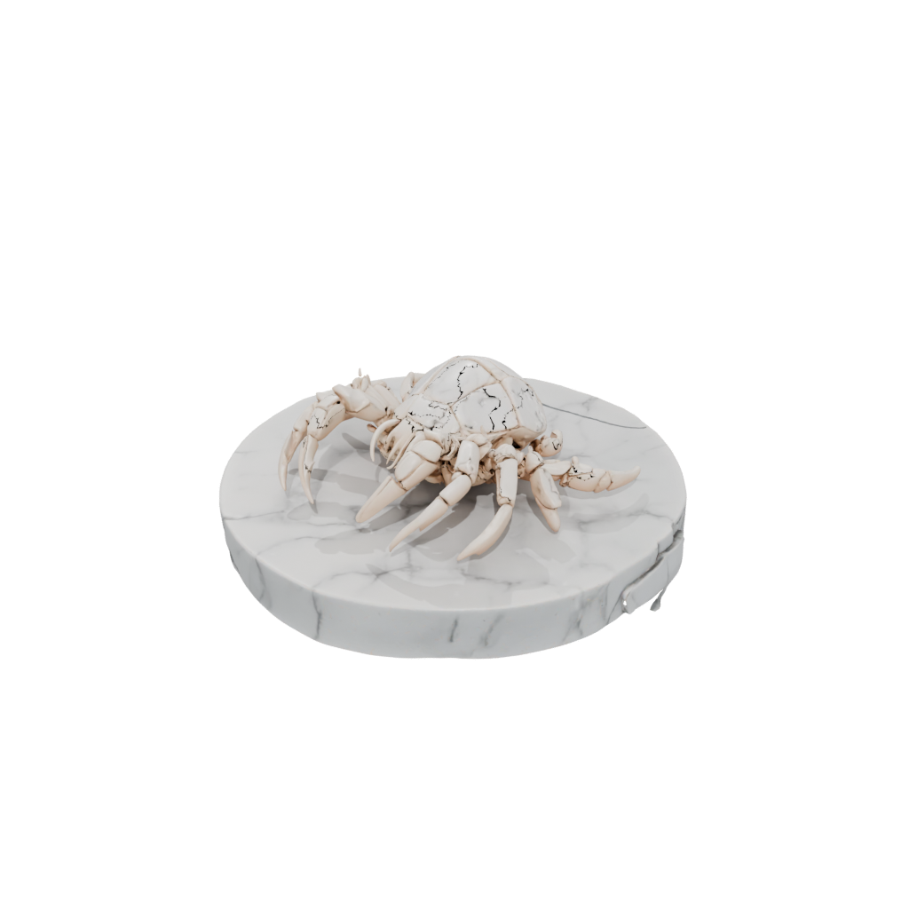 Marble Geo Flexi Hermit Crab