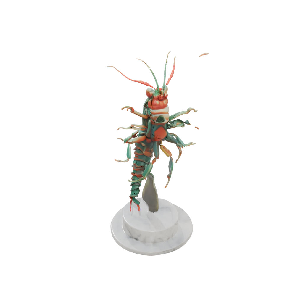 Marble Geo Flexi Mantis Shrimp