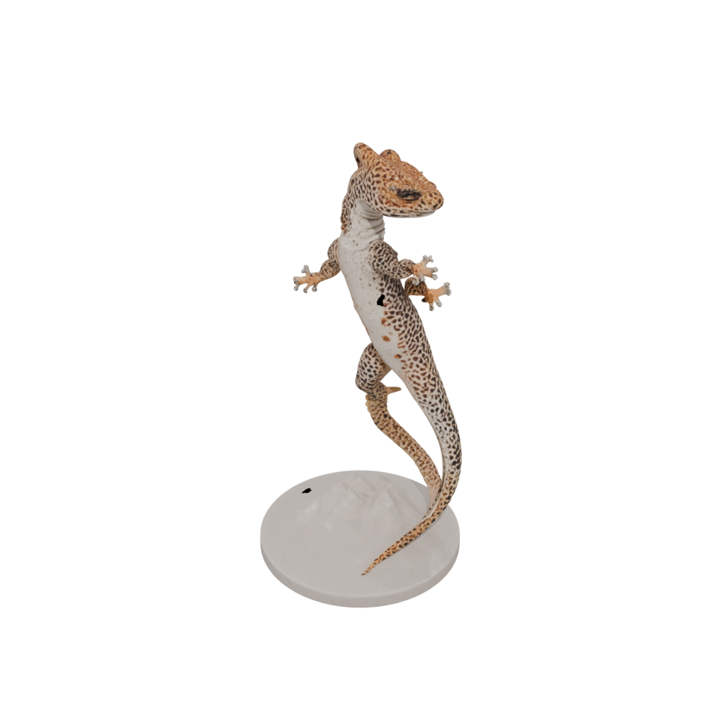 Marble Realistic Flexi Leopard Gecko