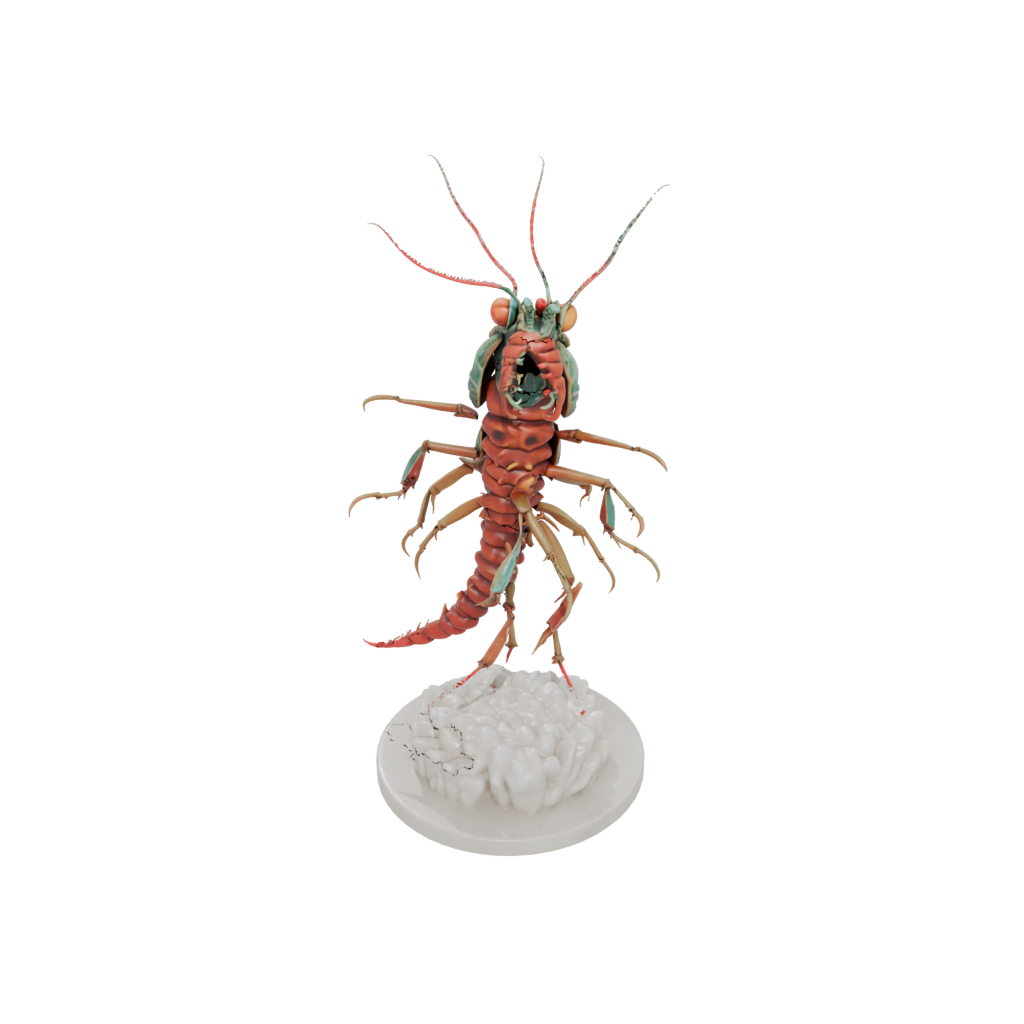 Marble Realistic Flexi Mantis Shrimp