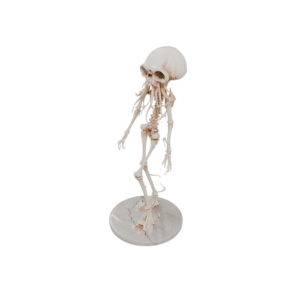 Marble Skeleton Flexi Jellyfish