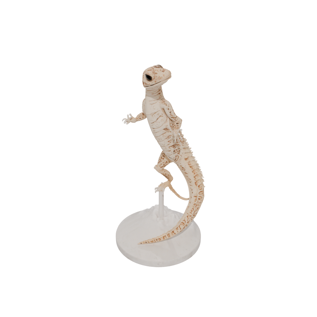 Marble Skeleton Flexi Leopard Gecko