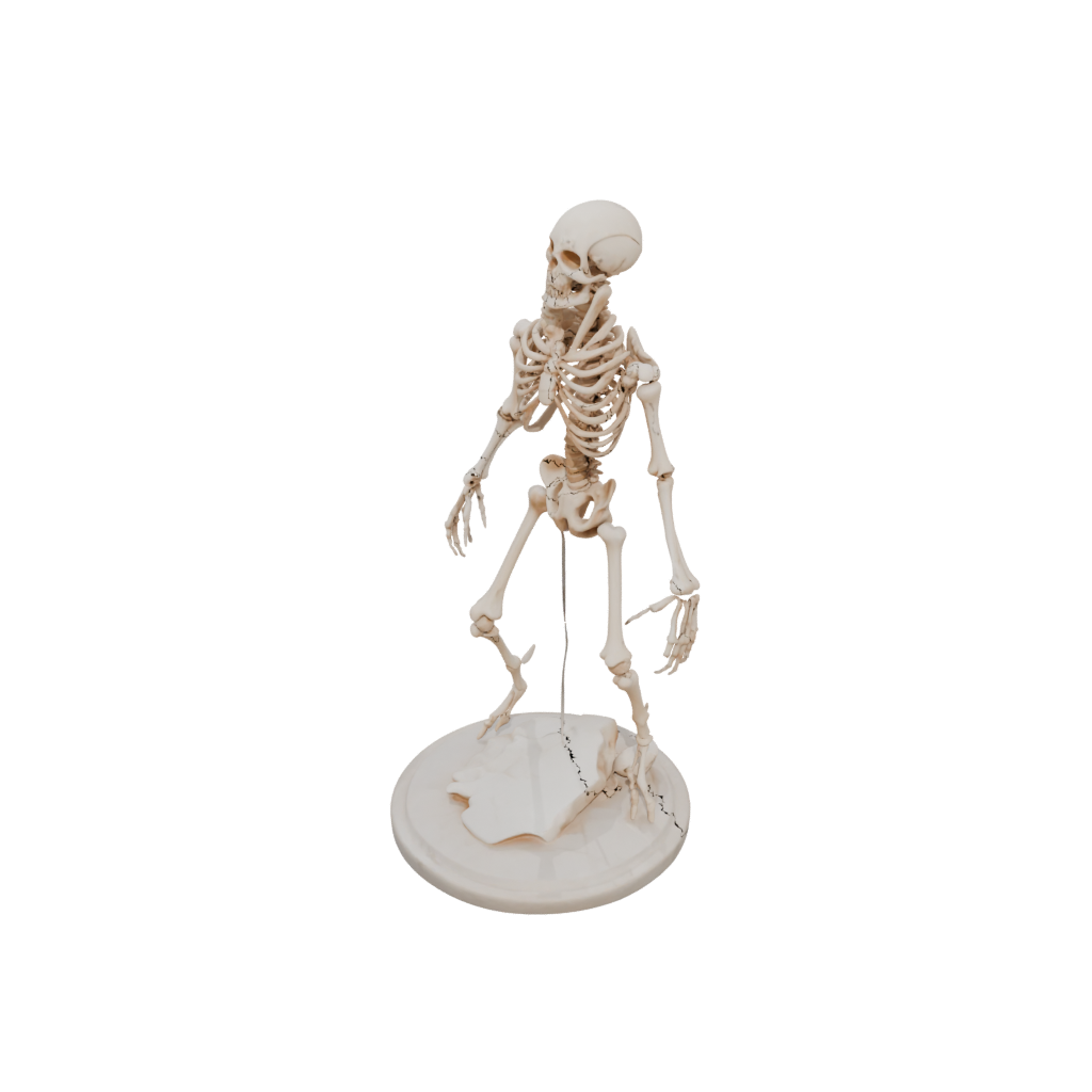 Marble Skeleton Flexi Scorpion