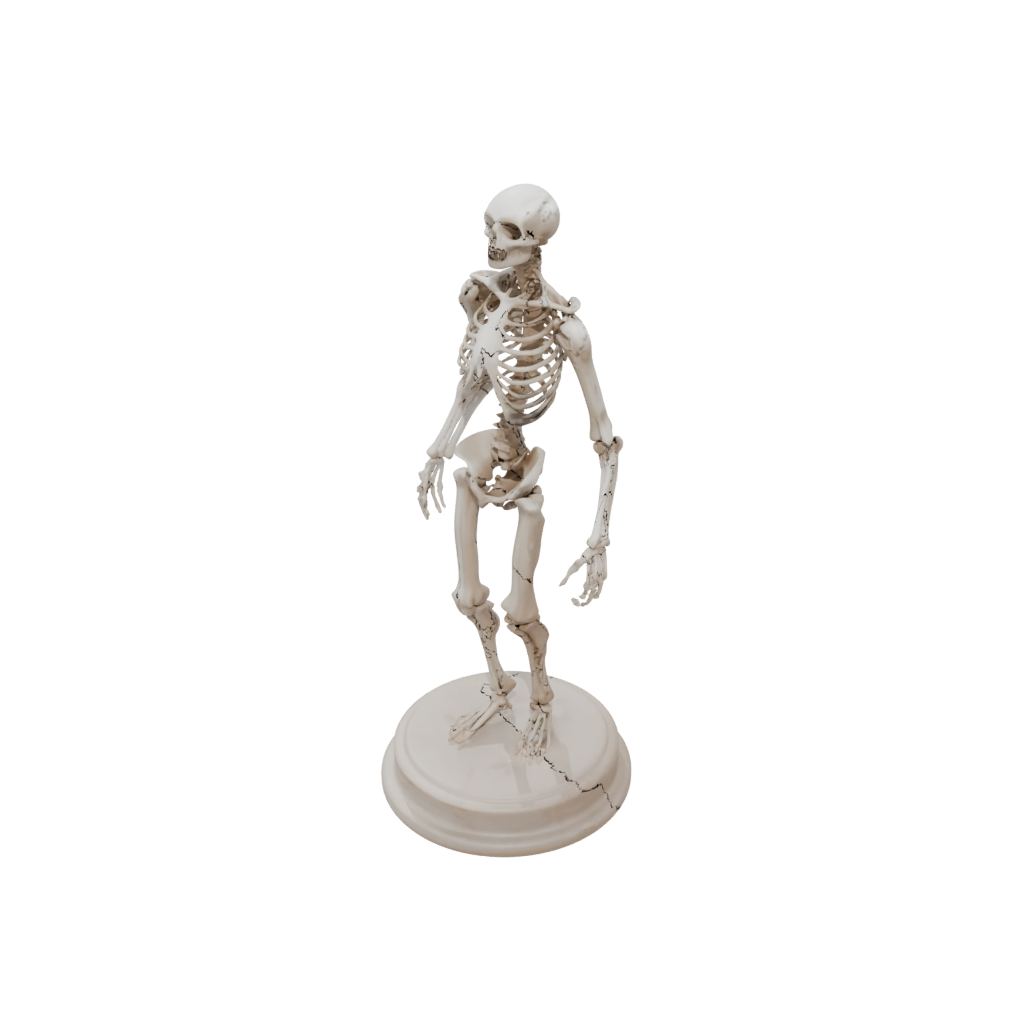Marble Skeleton Flexi Stingray