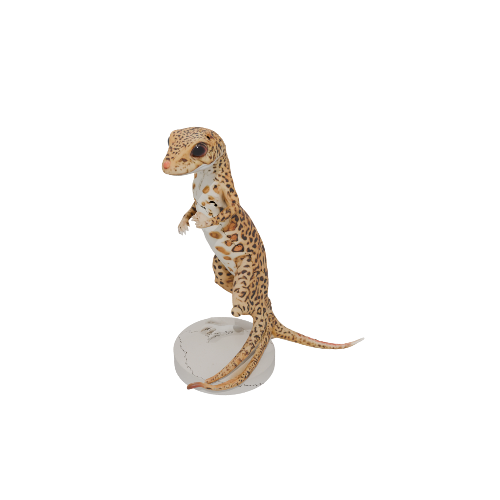 Mini Armored Flexi Leopard Gecko
