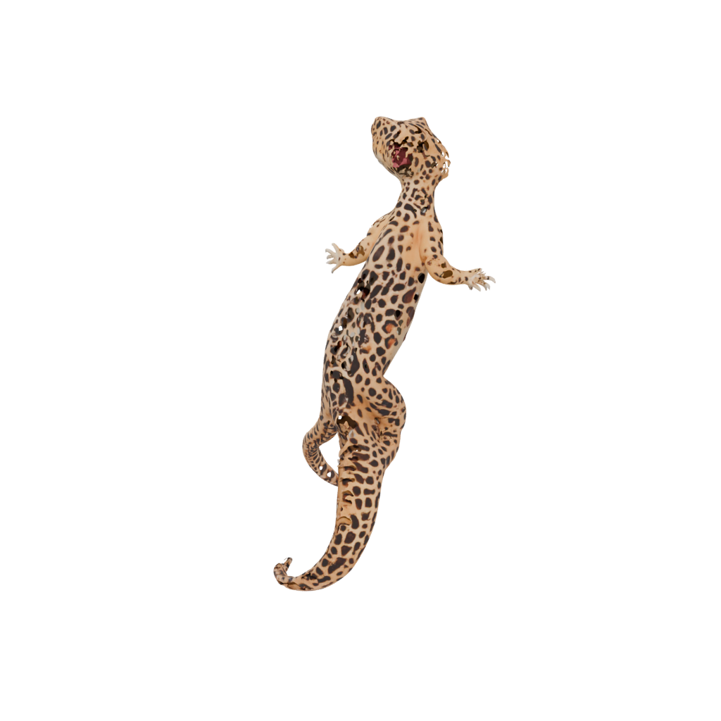 Mini Flexi Leopard Gecko