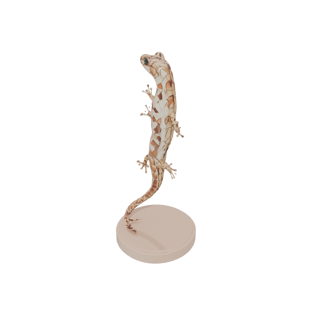 Mini Flexi Salamander