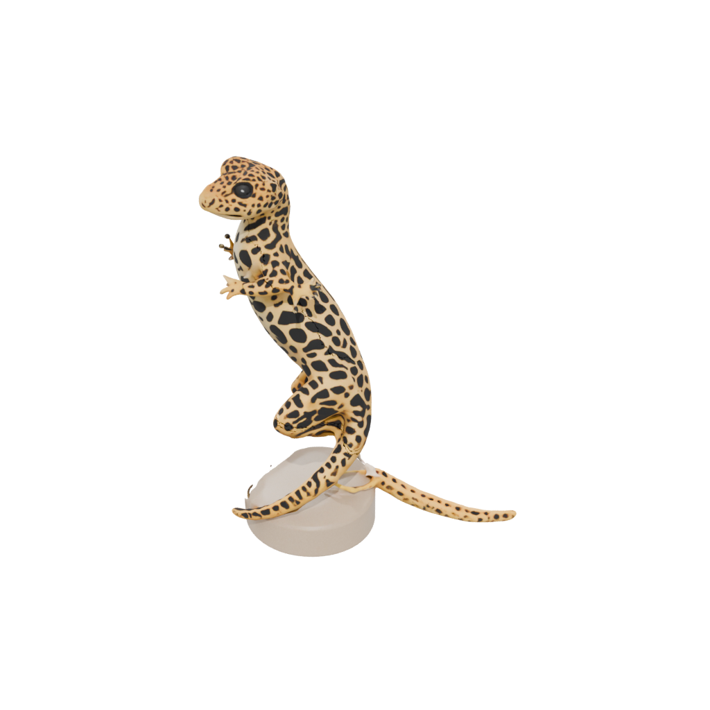 Mini Geo Flexi Leopard Gecko