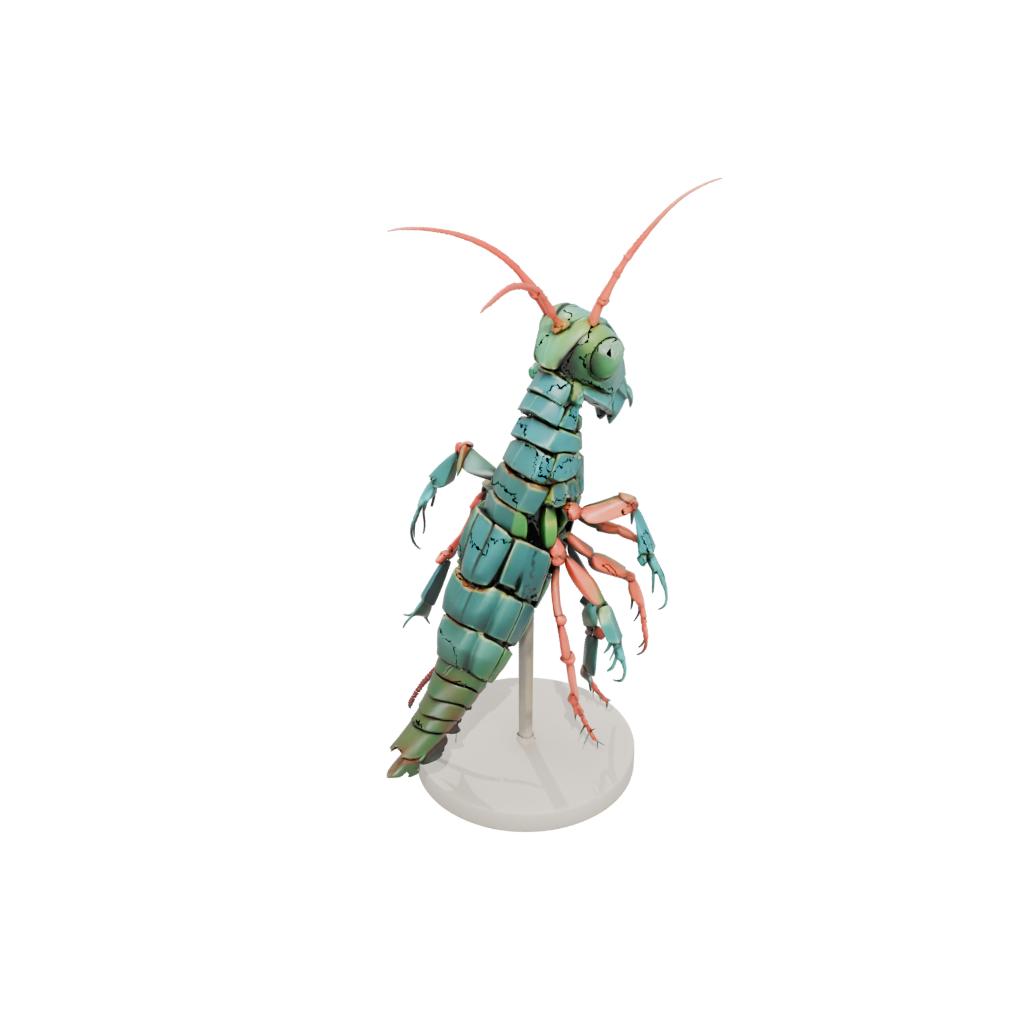 Mini Geo Flexi Mantis Shrimp