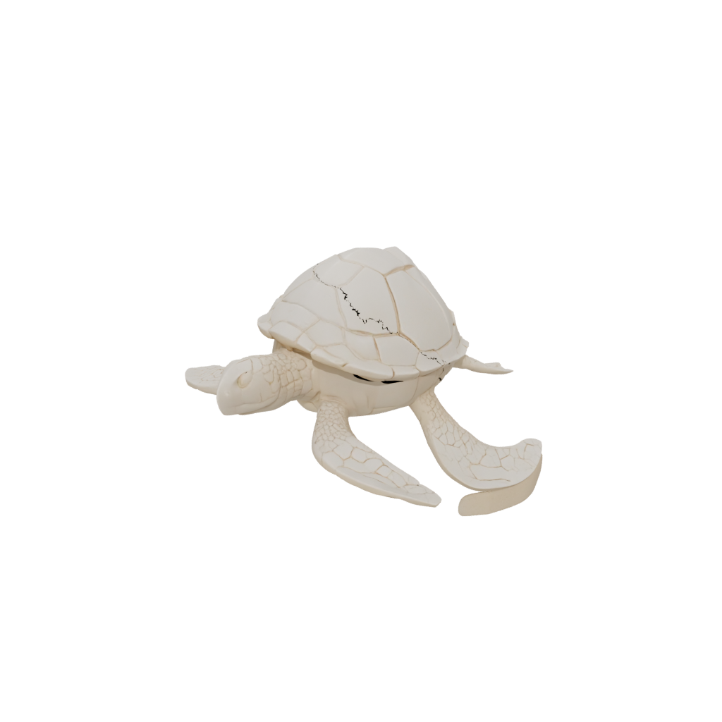 Mini Geo Flexi Sea Turtle